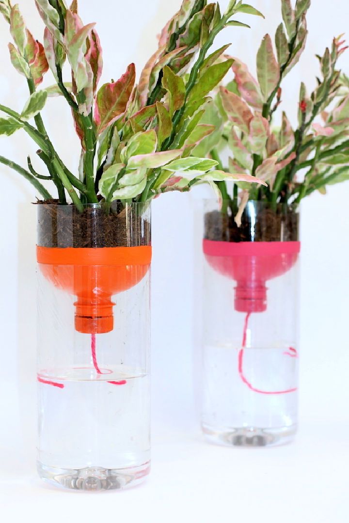 DIY Self Watering Planters With Recycled Bottles