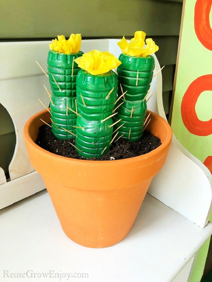 Homemade Water Bottle Cactus