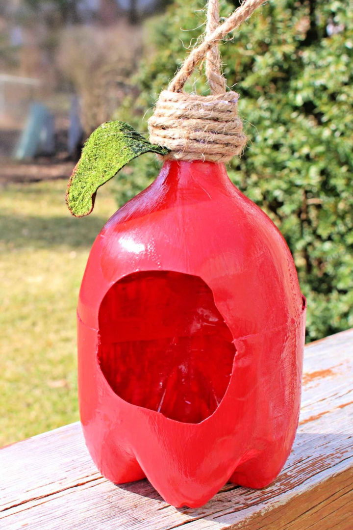 How to Make a Bottle Bird Feeder