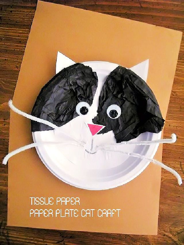 Tissue Paper and Paper Plate Cat Craft