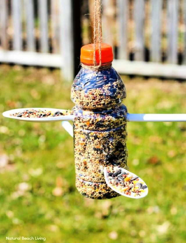 Make a Bird Feeder Out of Plastic Bottle