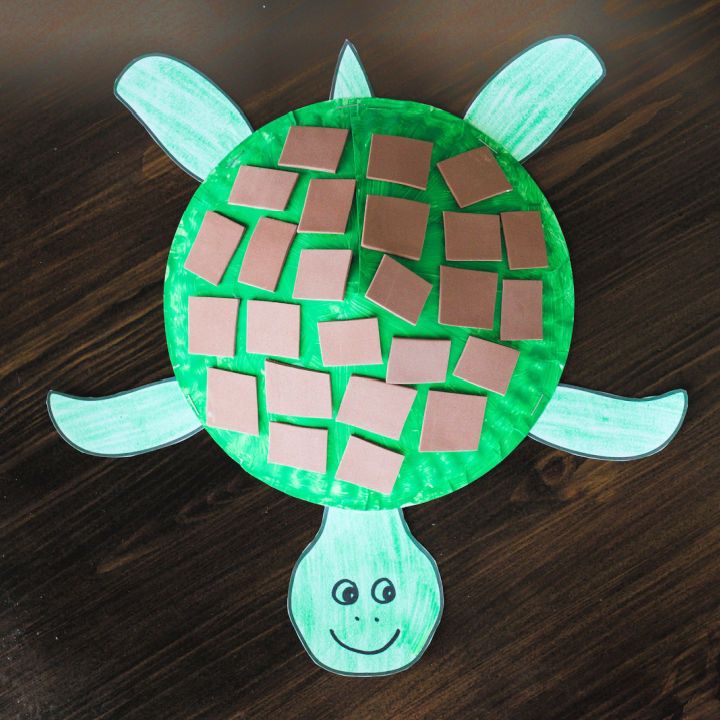 Make an Easy Paper Plate Turtle