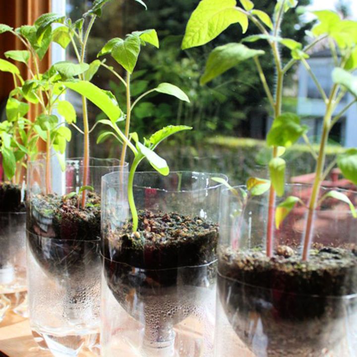 Make Self watering Seed Starter Pots