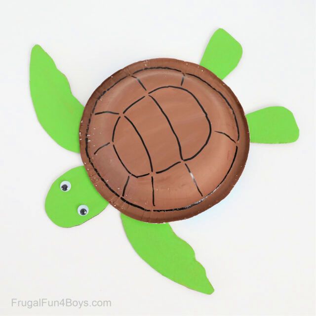 Making a Paper Bowl Sea Turtle
