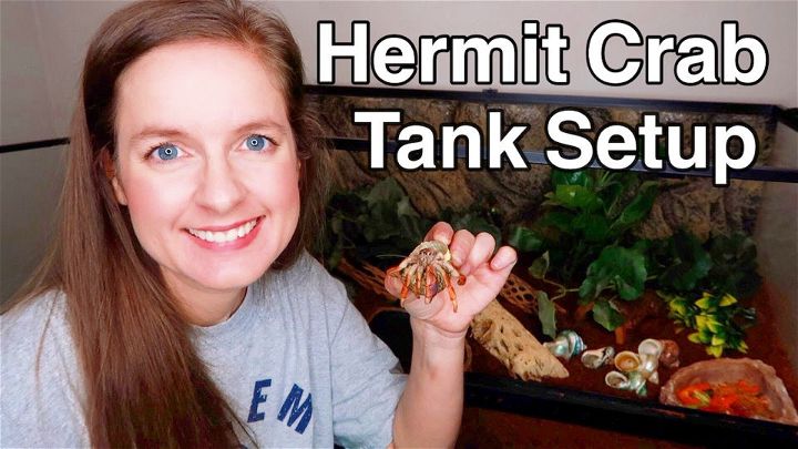 DIY Hermit Crab Tank Setup 