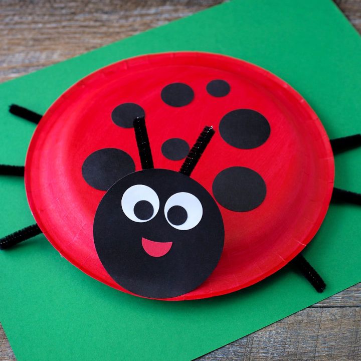Cool Paper Plate Ladybug Craft