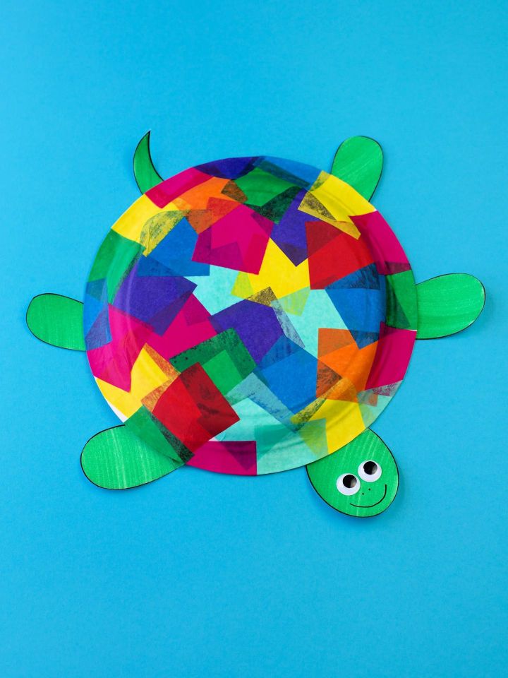 Tissue Paper and Paper Plate Turtle Craft for Kids