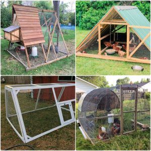 free DIY chicken tractor plans and ideas - building a chicken tractor
