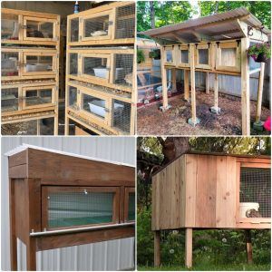 homemade diy quail cage plans and ideas - free quail coop plans