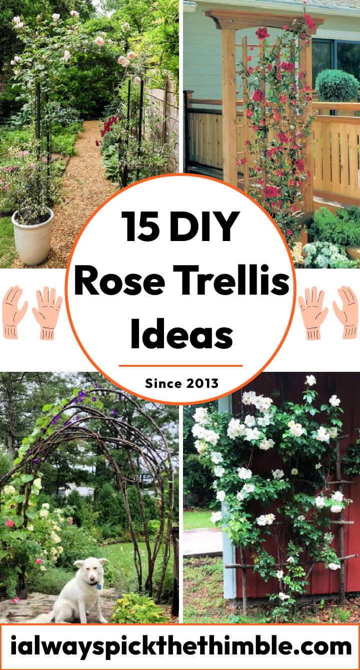 15 DIY rose trellis ideas: build a climbing rose support