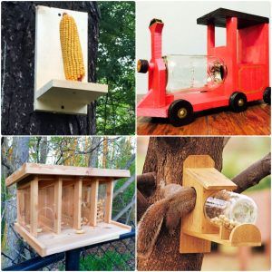 25 free homemade DIY squirrel feeder plans