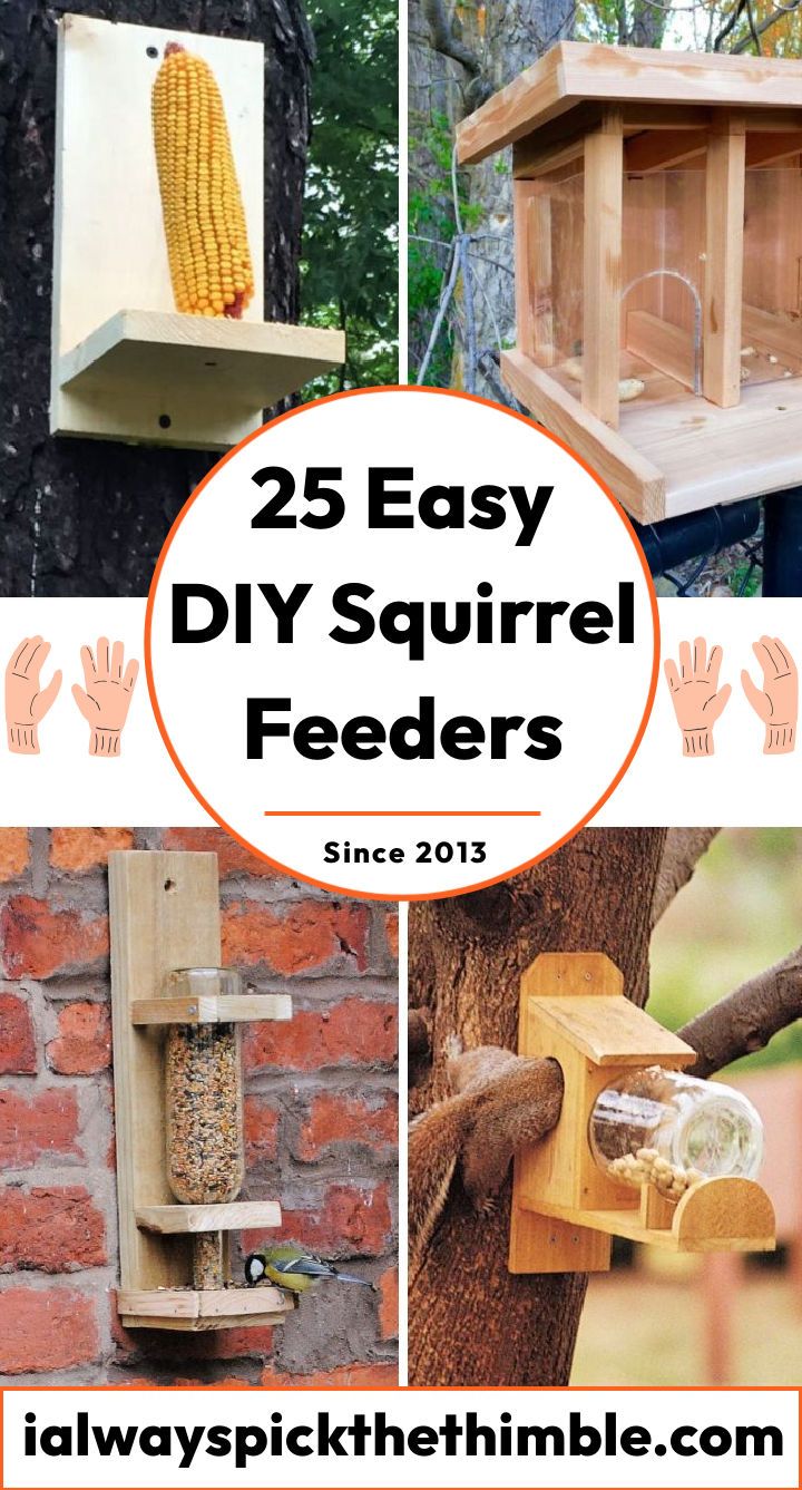 25 free homemade DIY squirrel feeder plans