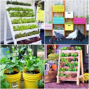 25 easy DIY vegetable garden ideas to build