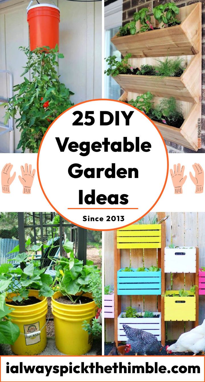 25 easy DIY vegetable garden ideas to build